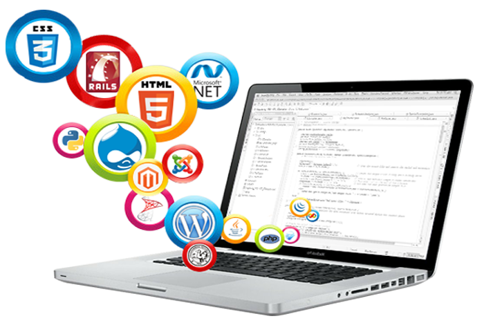Custom Software & Website Development for Your Business Needs